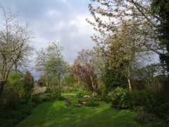 Voorjaarsimpressie tuin II.JPG